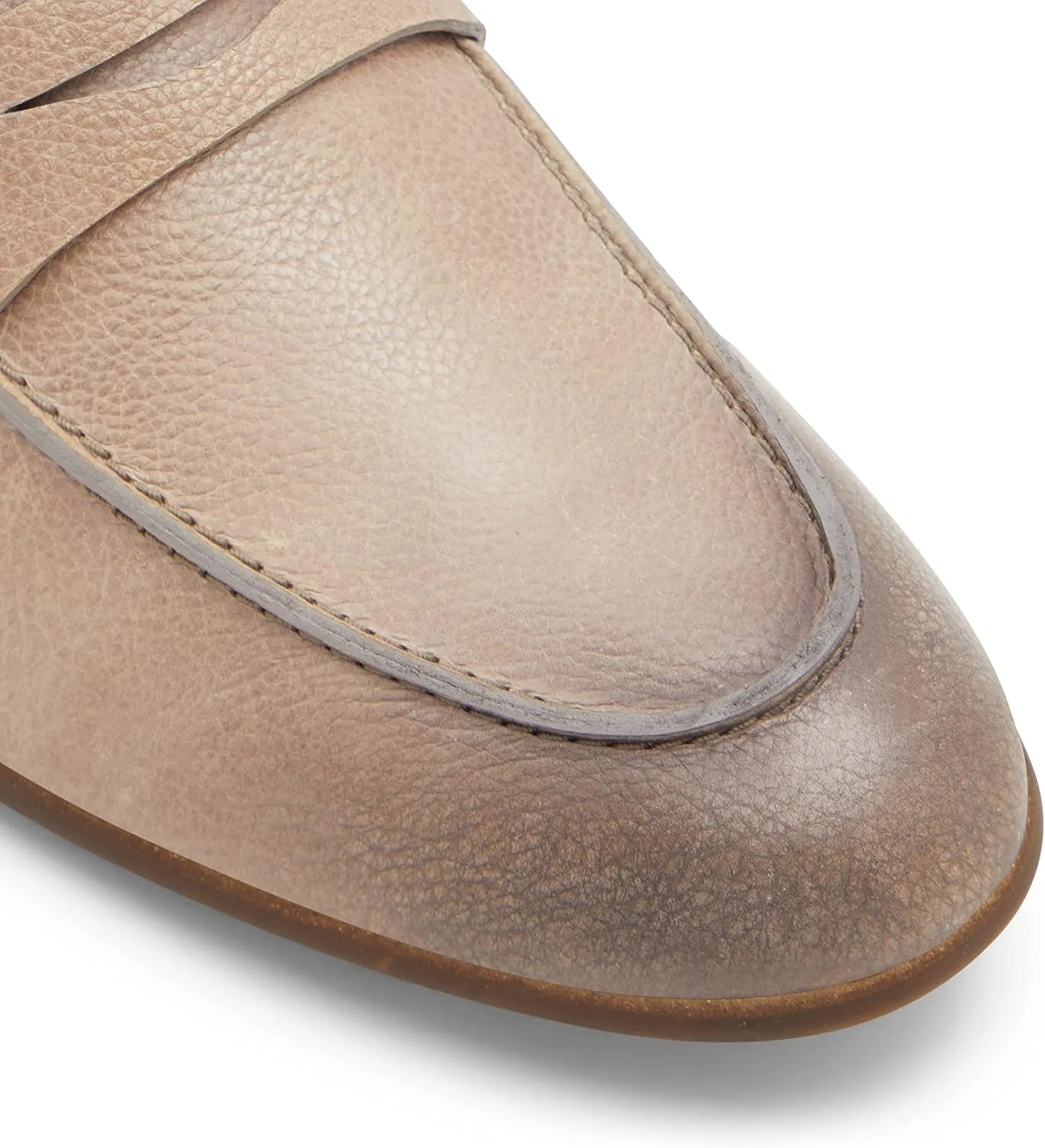 ALDO Men's Bainville Loafer