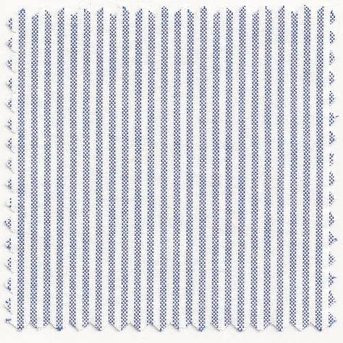 Blue & White University Stripe Two-Ply 100% Pima Cotton Oxford