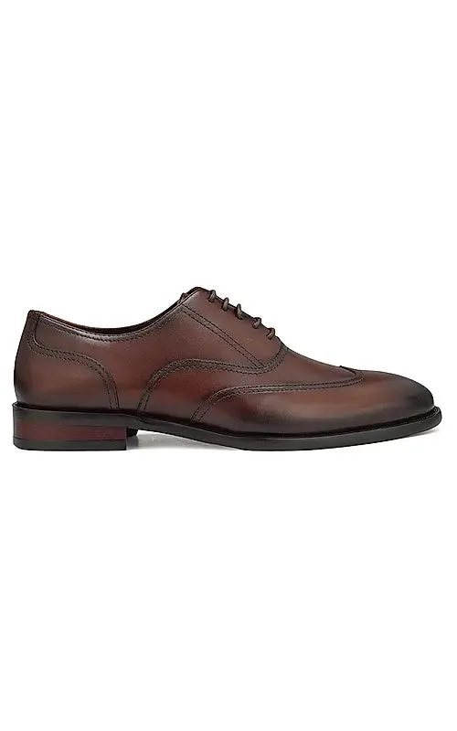 Coffee  Leather Derby Shoes