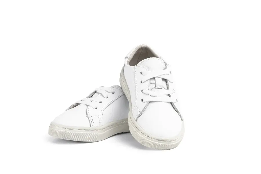 Piper Finn Low Top Sneakers