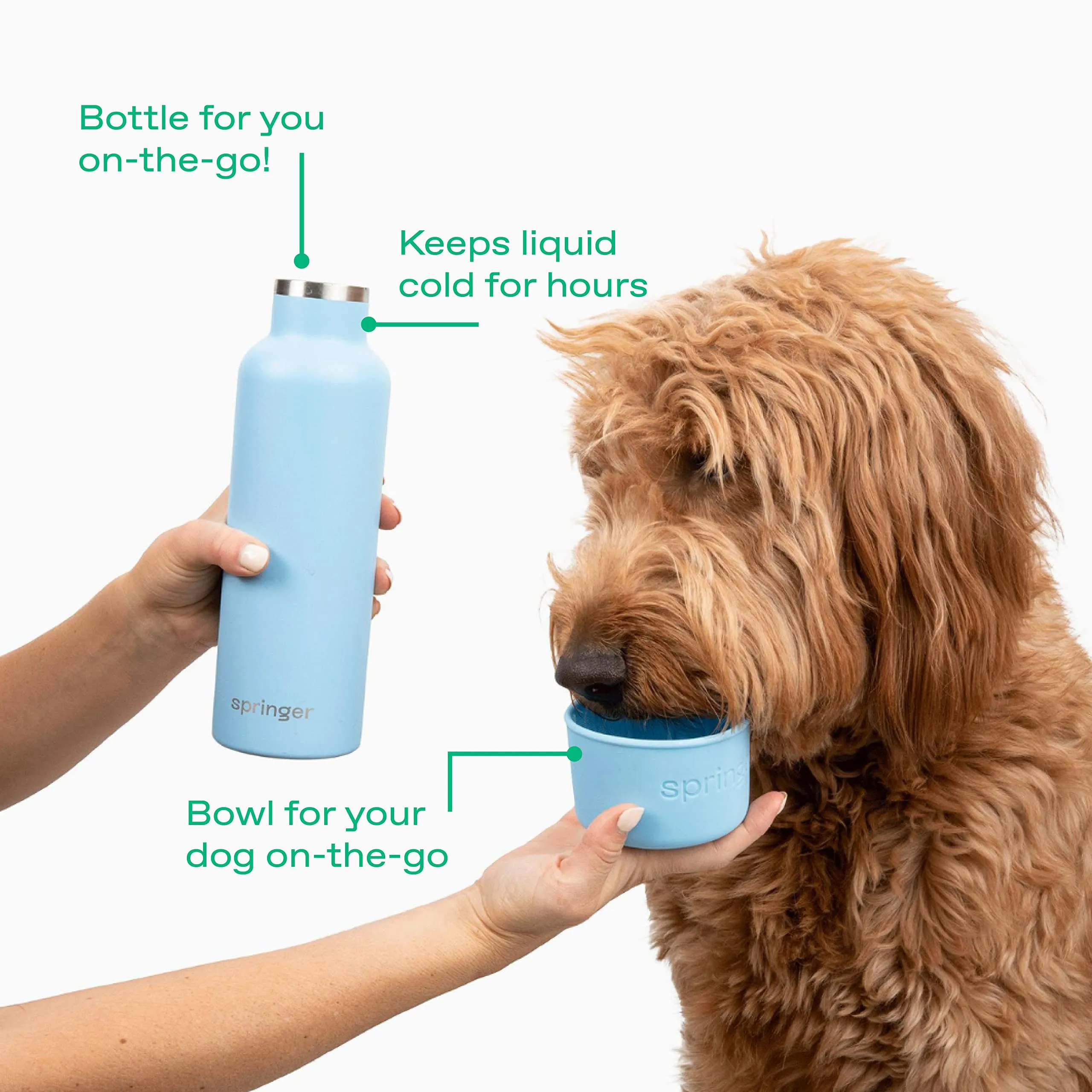 Springer Dog and Me 24oz Stainless Steel Insulated Water Bottle - Cold for 12  Hours – Portable Dog Water Bottle with Integrated Travel Water Bowl for Dogs, Portable Dog Water Bottle – White