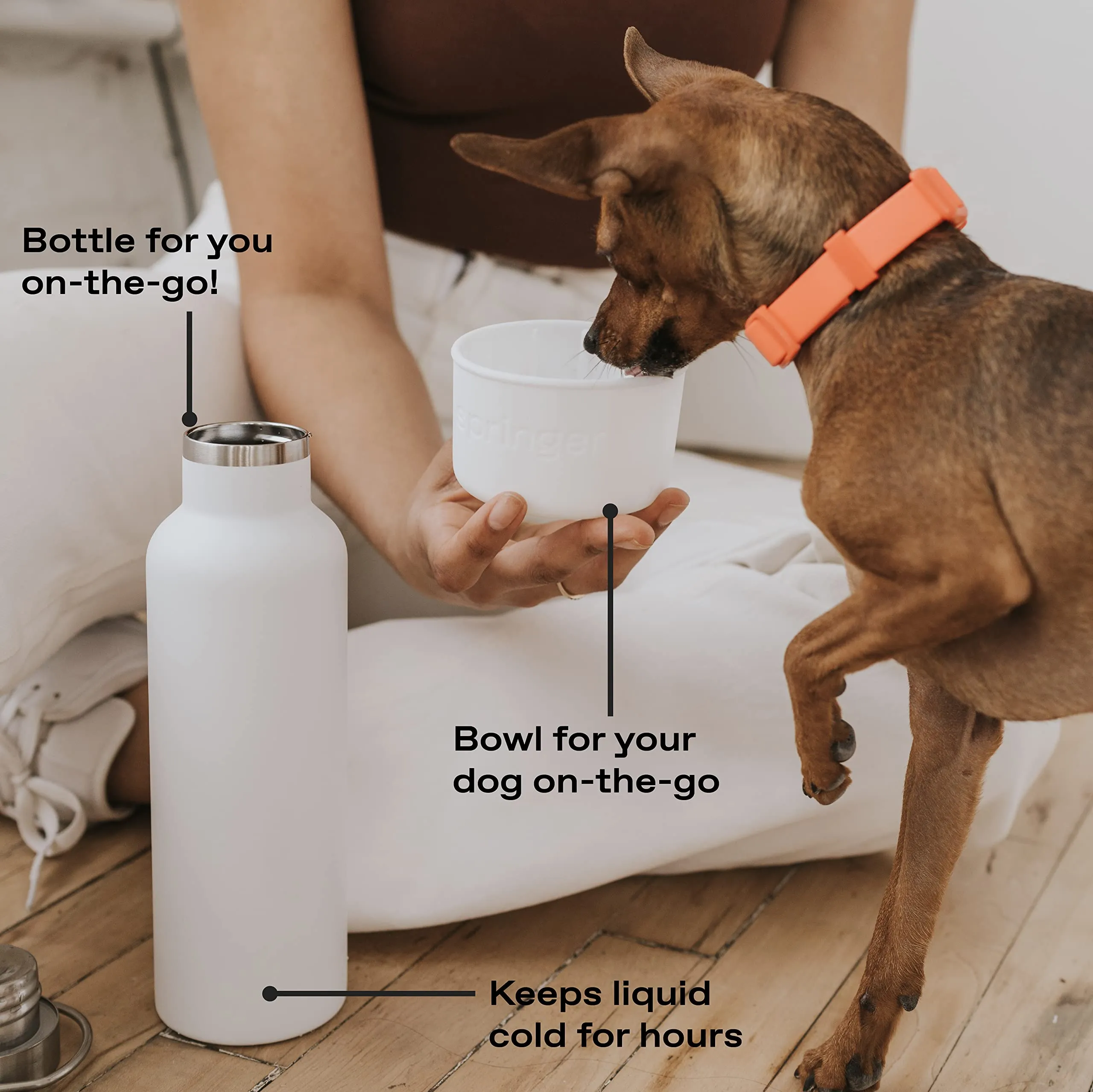 Springer Dog and Me 24oz Stainless Steel Insulated Water Bottle - Cold for 12  Hours – Portable Dog Water Bottle with Integrated Travel Water Bowl for Dogs, Portable Dog Water Bottle – White