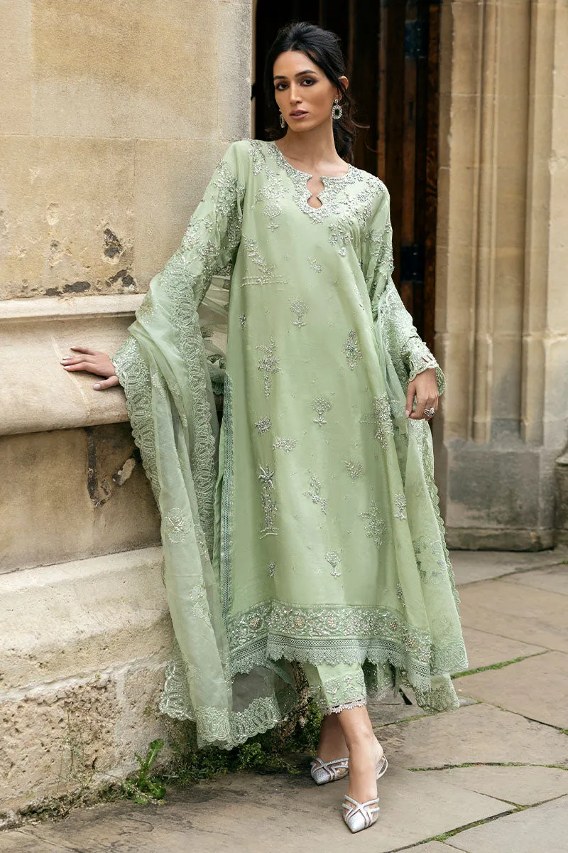 STELLA GRACE | CELESTINE - THE OXFORD EDIT | MUSHQ