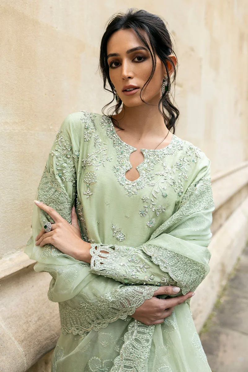 STELLA GRACE | CELESTINE - THE OXFORD EDIT | MUSHQ