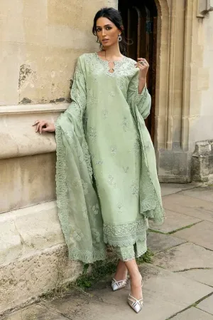 STELLA GRACE | CELESTINE - THE OXFORD EDIT | MUSHQ