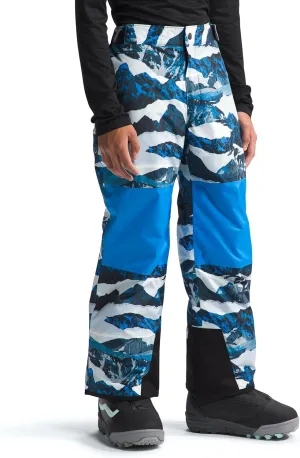 THE NORTH FACE Boys' Freedom Insulated Pant